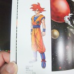 dragon-ball-chogashu-13