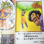 dragon-ball-chogashu-16