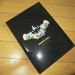 dragon-ball-chogashu-22