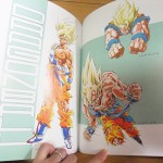 dragon-ball-chogashu-9