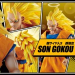 Dimension of DRAGONBALL Super Saiyan 3 Son Goku