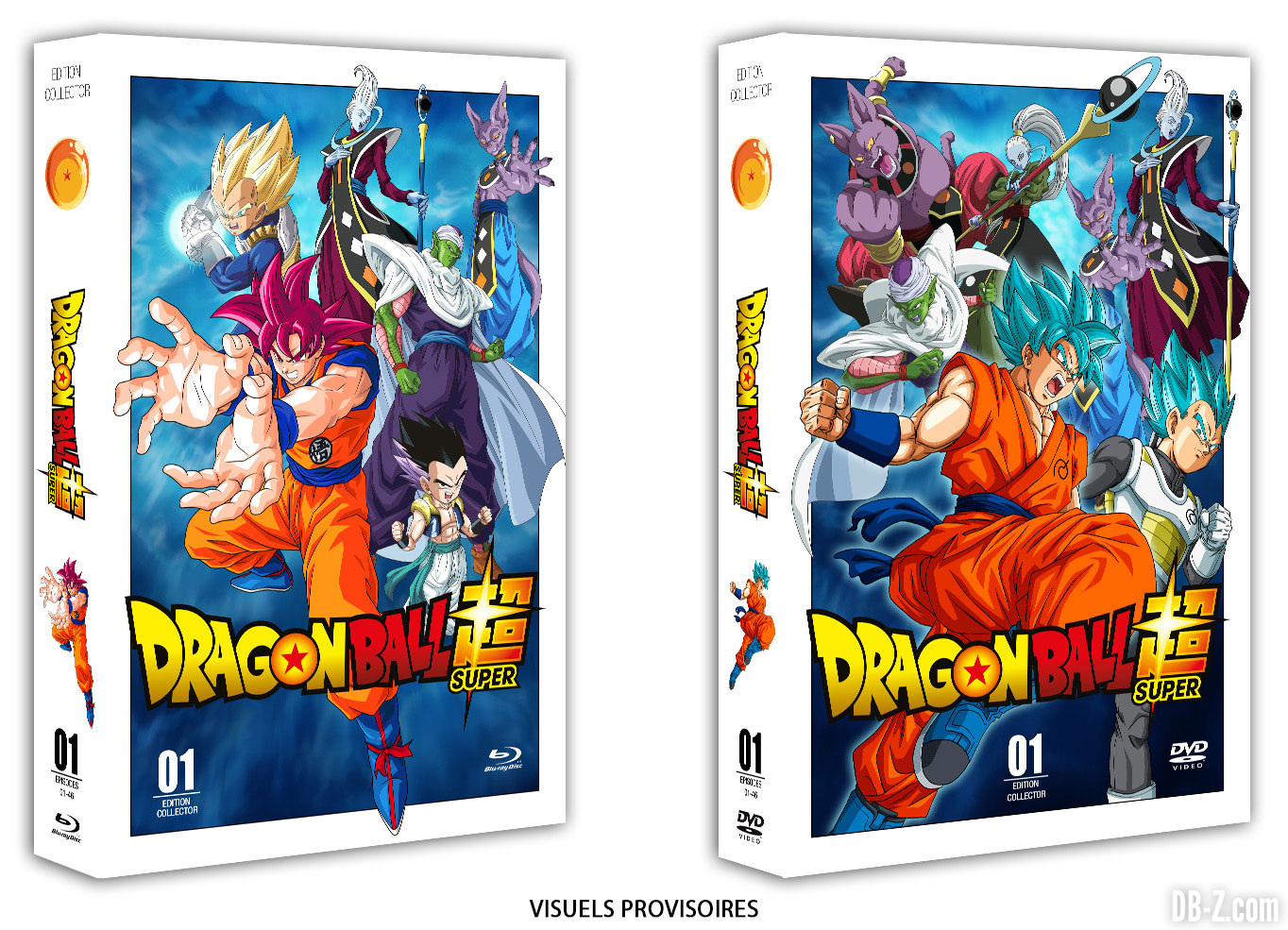 Dragon Ball Super en VF : L'intégrale en DVD & Blu-Ray arrive en BOX – Dragon  Ball Super en France : Actualités & News