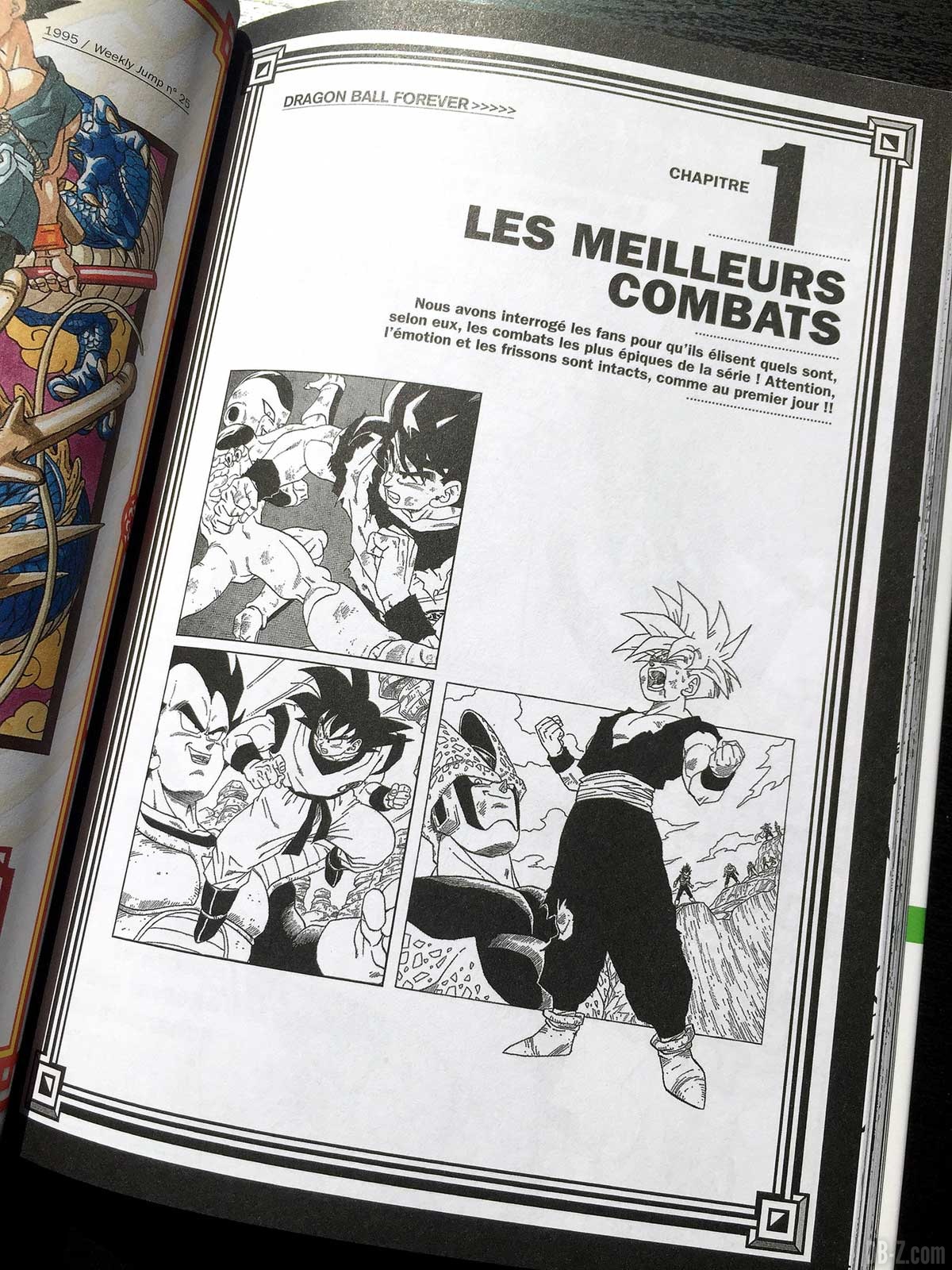 Dragon Ball Forever : Unboxing du data-book qui sort aujourd'hui – Dragon  Ball Super en France : Actualités & News